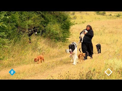 ჰეშთეგი / Hashtag / მამა სებასტიანე - ადამიანი, რომელიც ავადმყოფ ძაღლებს მარტო უვლის